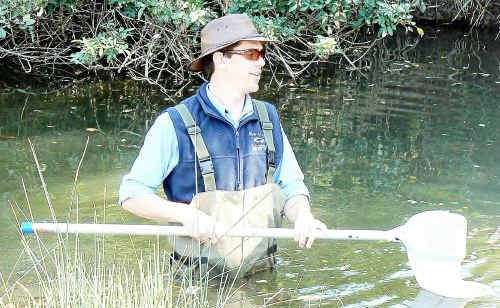 Dale Watson needed to wear waders to collect samples from the creek. Dale Watson needed to wear waders to collect samples from the creek.